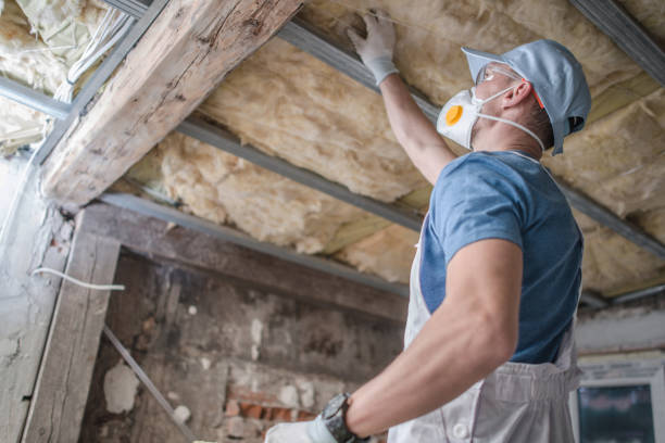 Best Insulation Installation Services in Wellston, OH